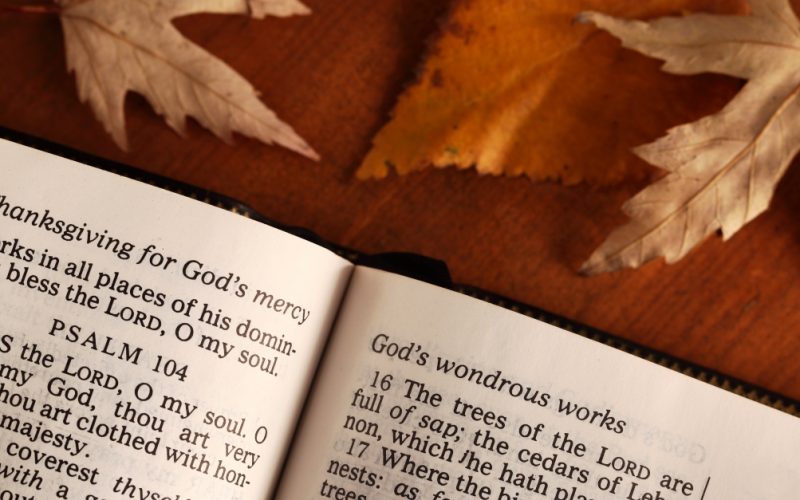 Bible Verses to Help with Challenging Family This Thanksgiving